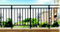 Cercas de balcón de acero forjado ornamentales / comerciales / residenciales