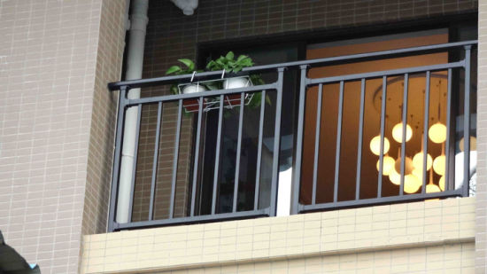 Carril de hierro forjado de calidad superior en estilo conciso